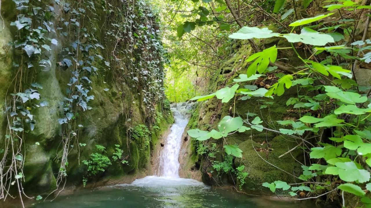 Penzion La Llar D'Aitana Alcoleja Exteriér fotografie